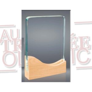 Trophée en Verre et Bois Rectangle